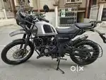 Royal himalayan lone option available
