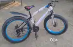 Fire catcher (fad bike)