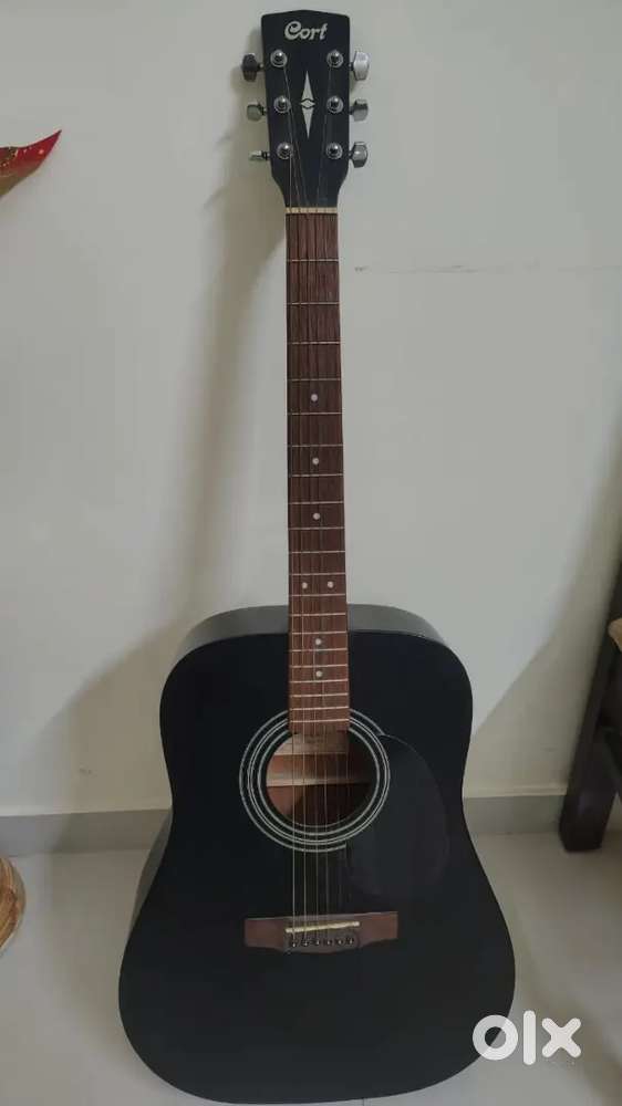 Guitar Acoustic Cort Ad810