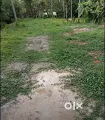 15 cent plot only for sale ,suitable for house