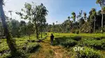 1 Acre 40 cent near Chullyod in Wayanad