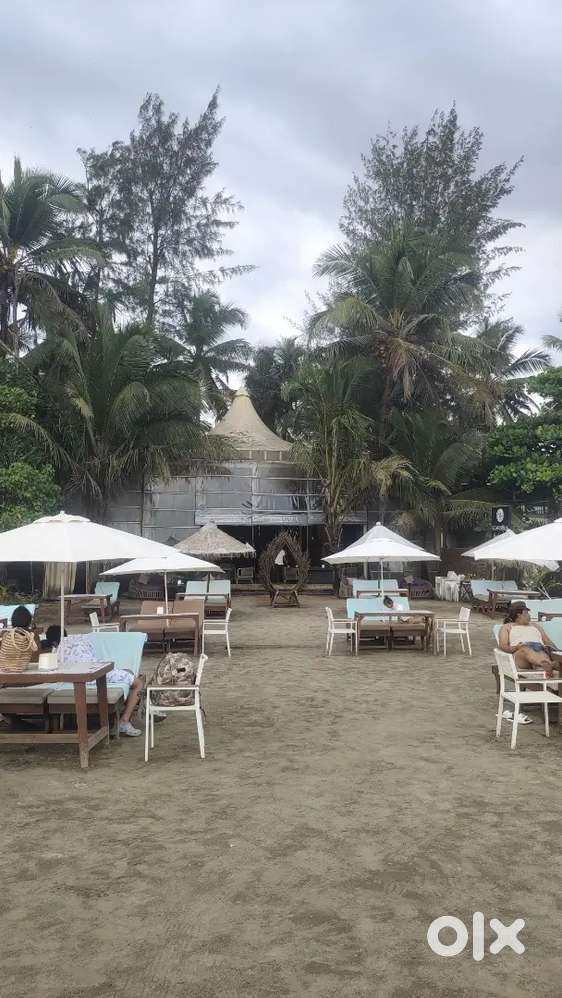 Urgent requirement for Stewards, captains and bartender