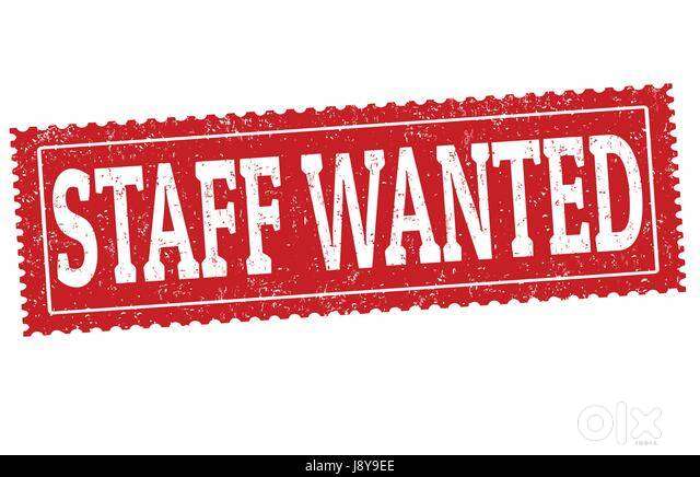 NEED COLLECTION EXECUTIVES FOR FINANCIAL CONCERN