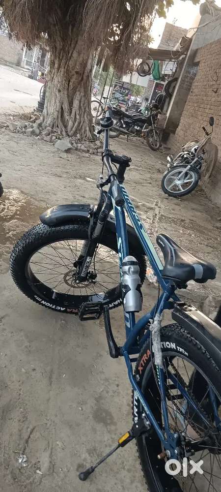 Fat tyre bicycle