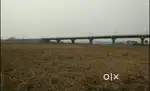 1 Bigha Land for sale at Kokrajhar @ 25 lakhs per bigha