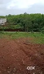 10 cent Housing Plot cheruthazham school near