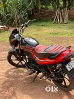Passion pro 2015