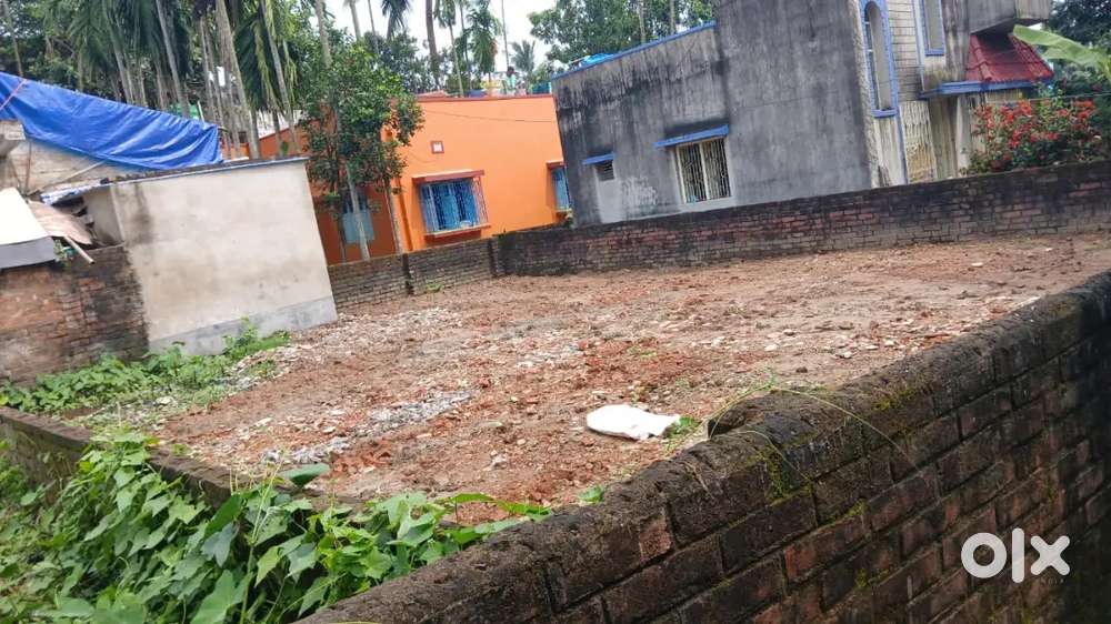 2 kattha 7ct total polt Kodliya 2 no pancayat bandel coll -8A240593708