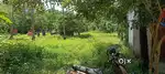 Land suitable for Residential purpose or To build quarters