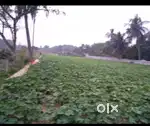 Land for sale in between jaleswar to chandaneswar