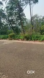 For sale  16 cent property nirapelpara nearby ramakkalmedu katadipadam