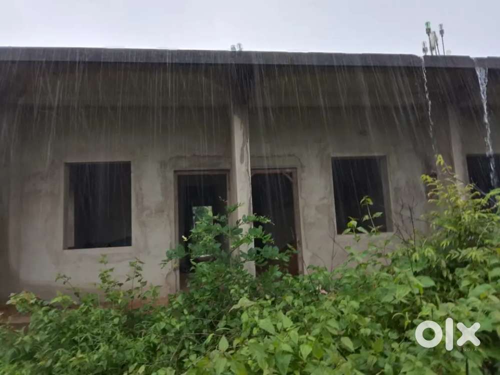 House with orchard  plot