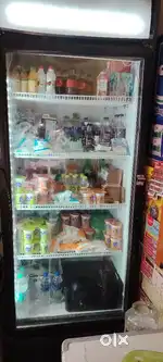 550 litres Bottle freezer