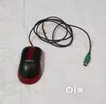 Computer mouse