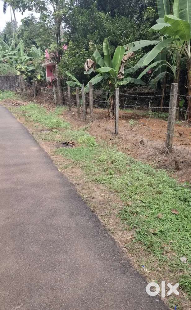 23 sent house plot sale in kodakara