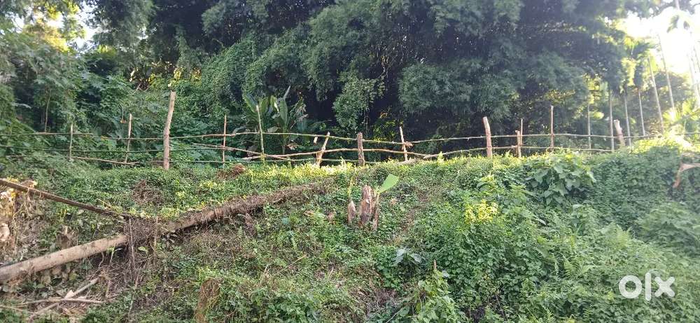 Land for sale