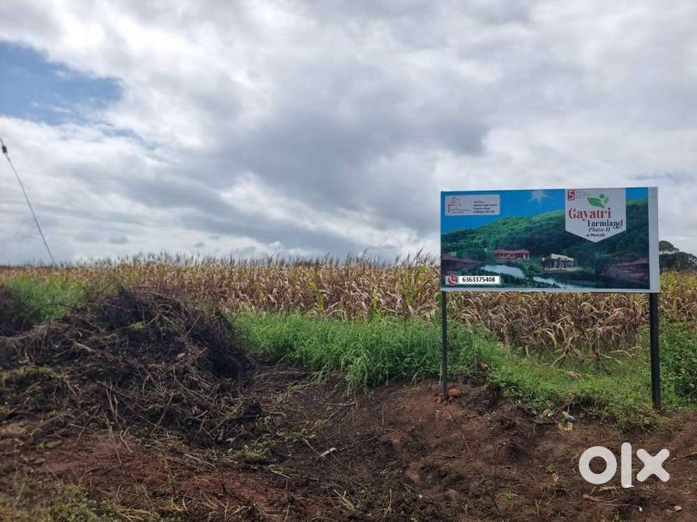 5 Gunta Farmland Plots For Sale