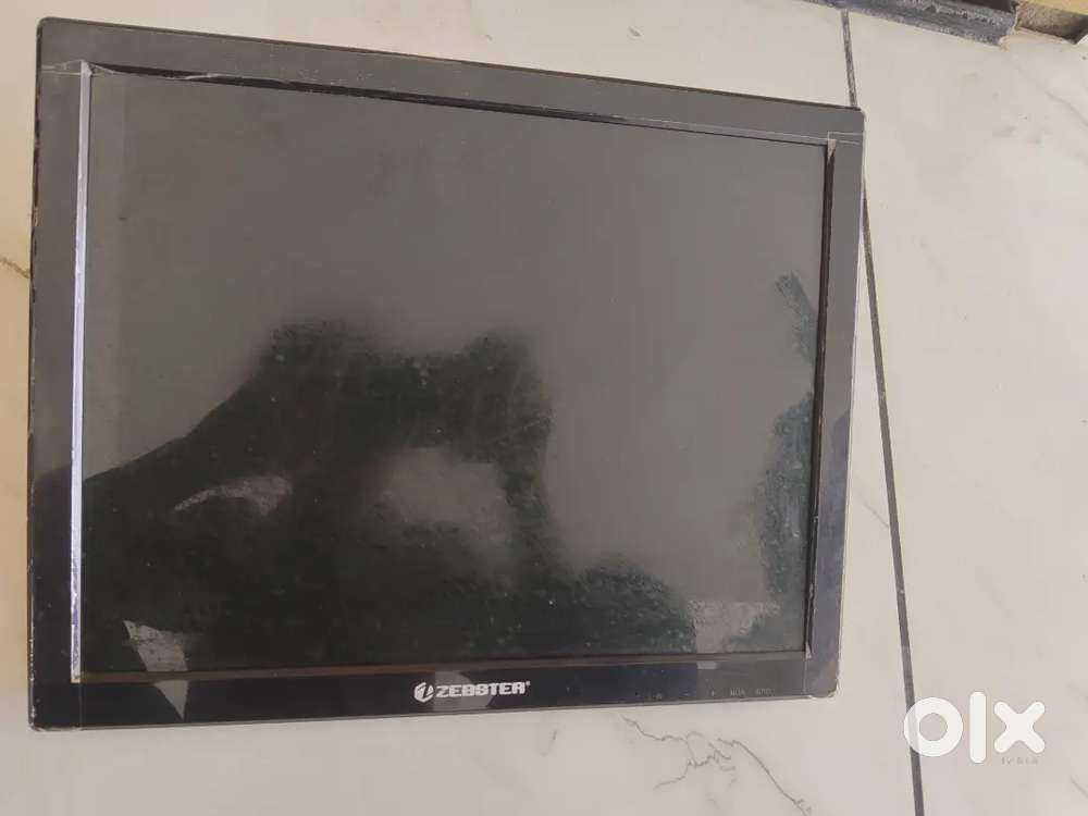 Monitor of zebstar 38.3cm