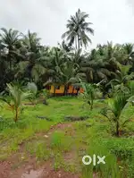1 BHK with with river and sunrise view