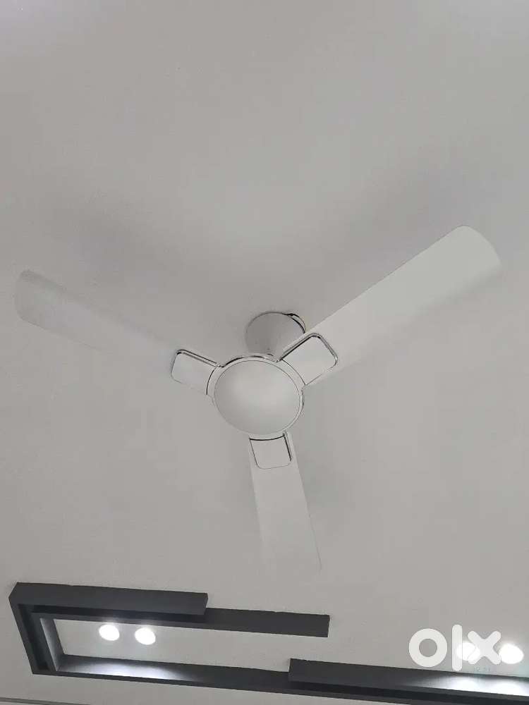 Fancy ceiling fan