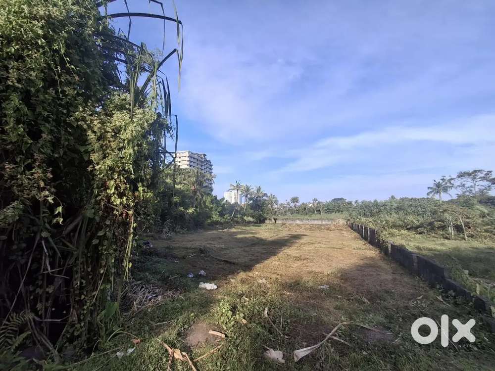 30 CENT RESIDENTIAL PLOT LAND FOR SALE AT PALARIVATTAM VENNALA