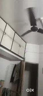 Looking for female flatmate