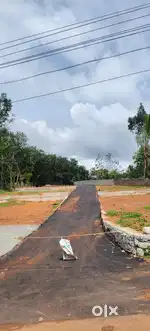 5 to 10 cents plot available opp.road of chempoor bhavana auditorium