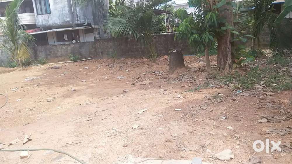 Residential plot Vazhakkala Kakkand