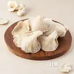 Fresh Oyester Mushroom order k liye sampark karein