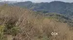 2 Bigha of mutated Agriculture land in Rikhauli.