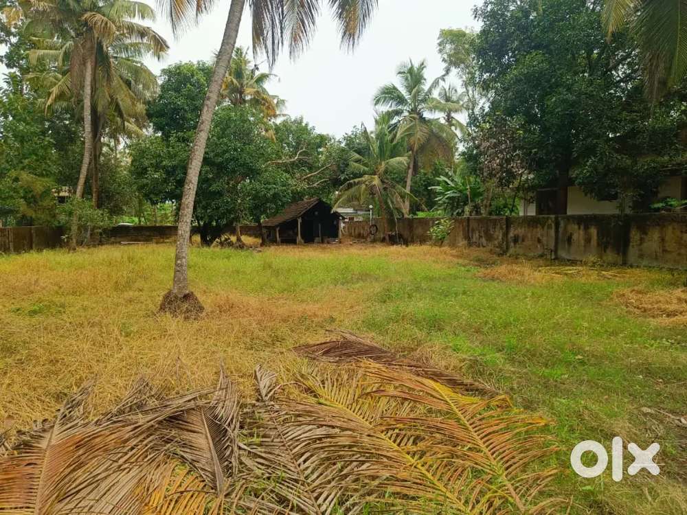 Residential plot for sale