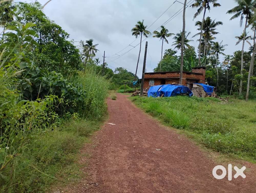 MUKADA  19 SENT VILPANAYIKK
