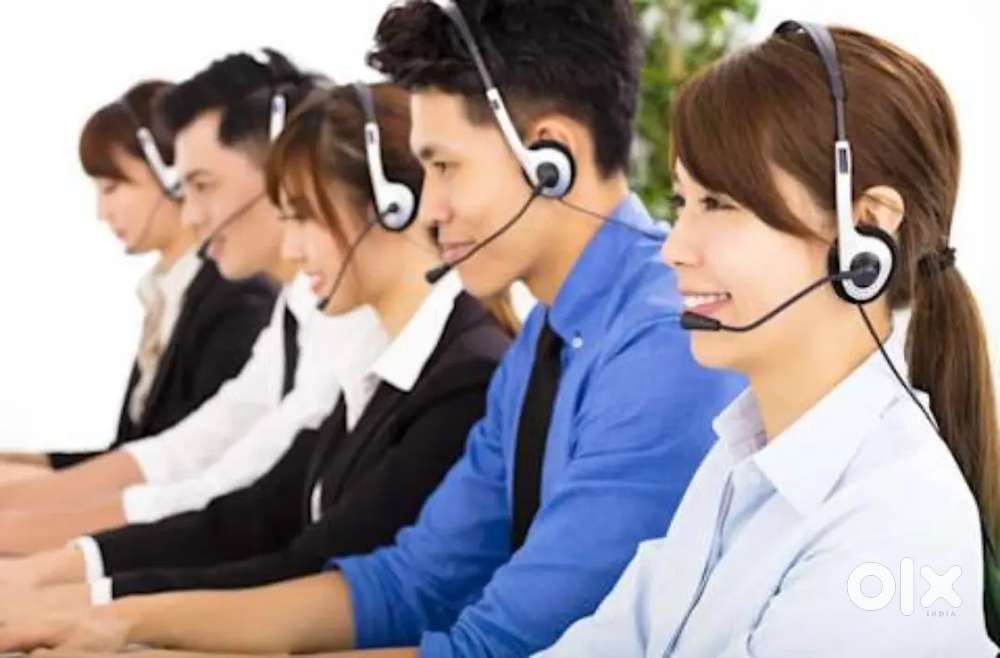 Websit company it bpo telecaller job