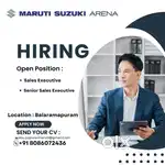 Sales Executive
