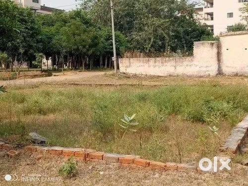 4katta land in Thakurnagar