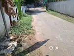 6.50cents of Prime Residential Property in Jawahar Nagar, Kadavanthra