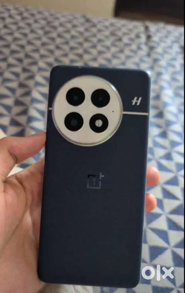 One plus 13
