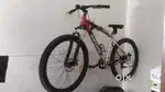 RALLEYZ BICYCLE