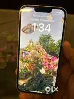 iphone 13 256gb/-98% battery health