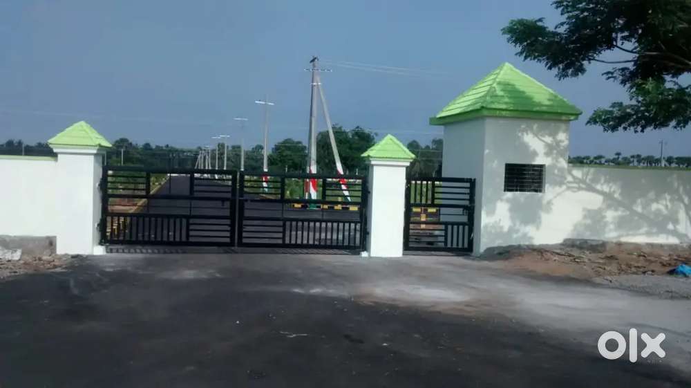 Open plots at Y junction