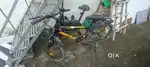 Predator cycle