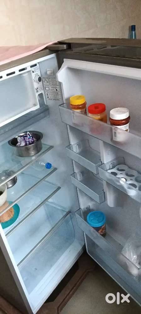 Hair fridge 2 year old