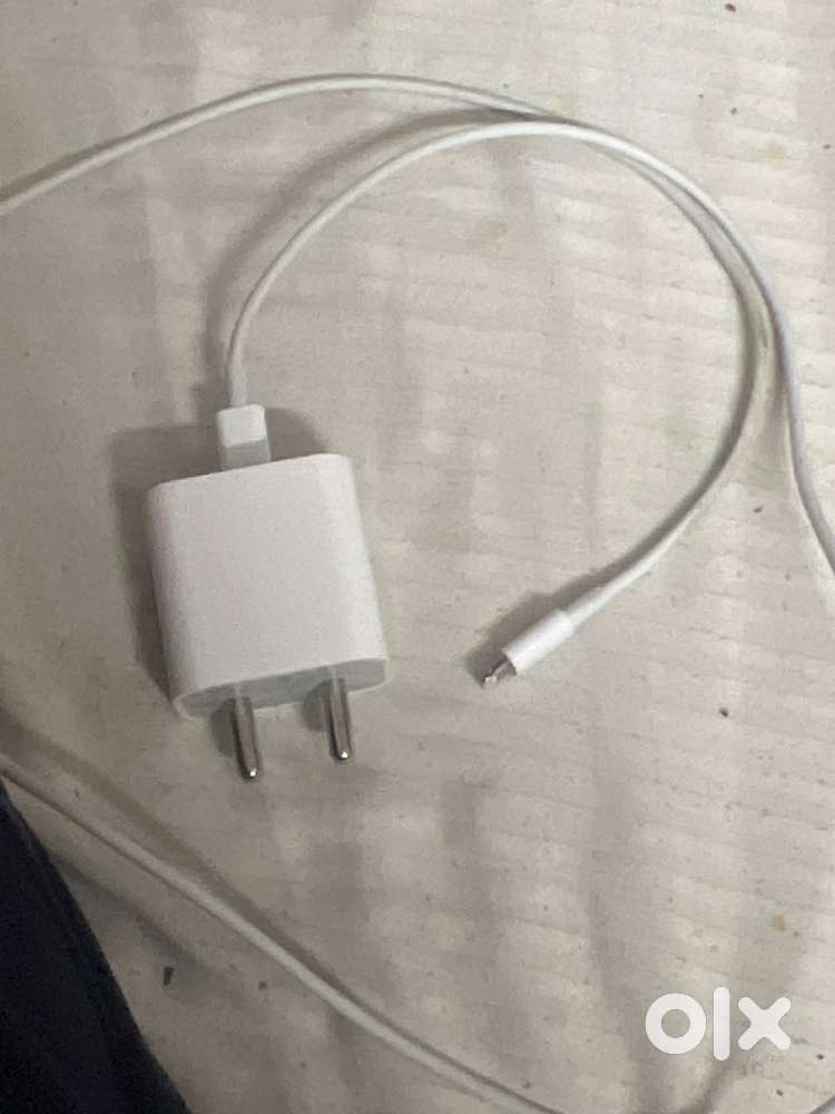 iPhone charger