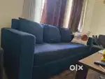 3 seater sofa by Wakefit with 3 cushions and 1 sofa cover