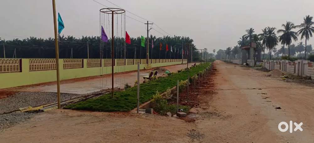 Plots For Sale @ Samlkot