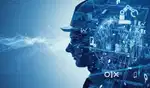 Website development, e commerce website, computer related works