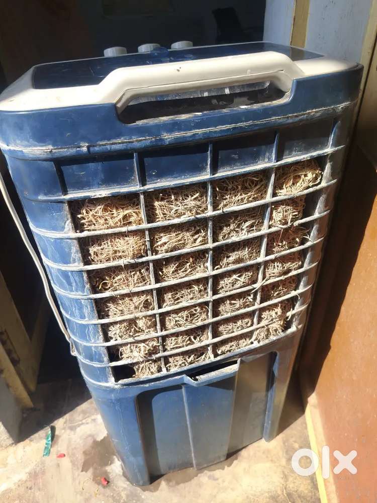 Hindustan cooler one year old