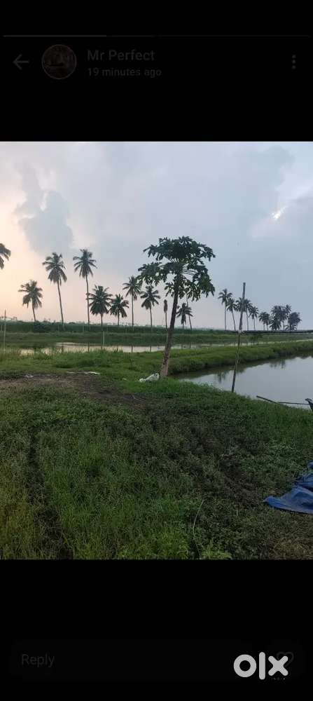 32cents near Westberry road to madepatnam road