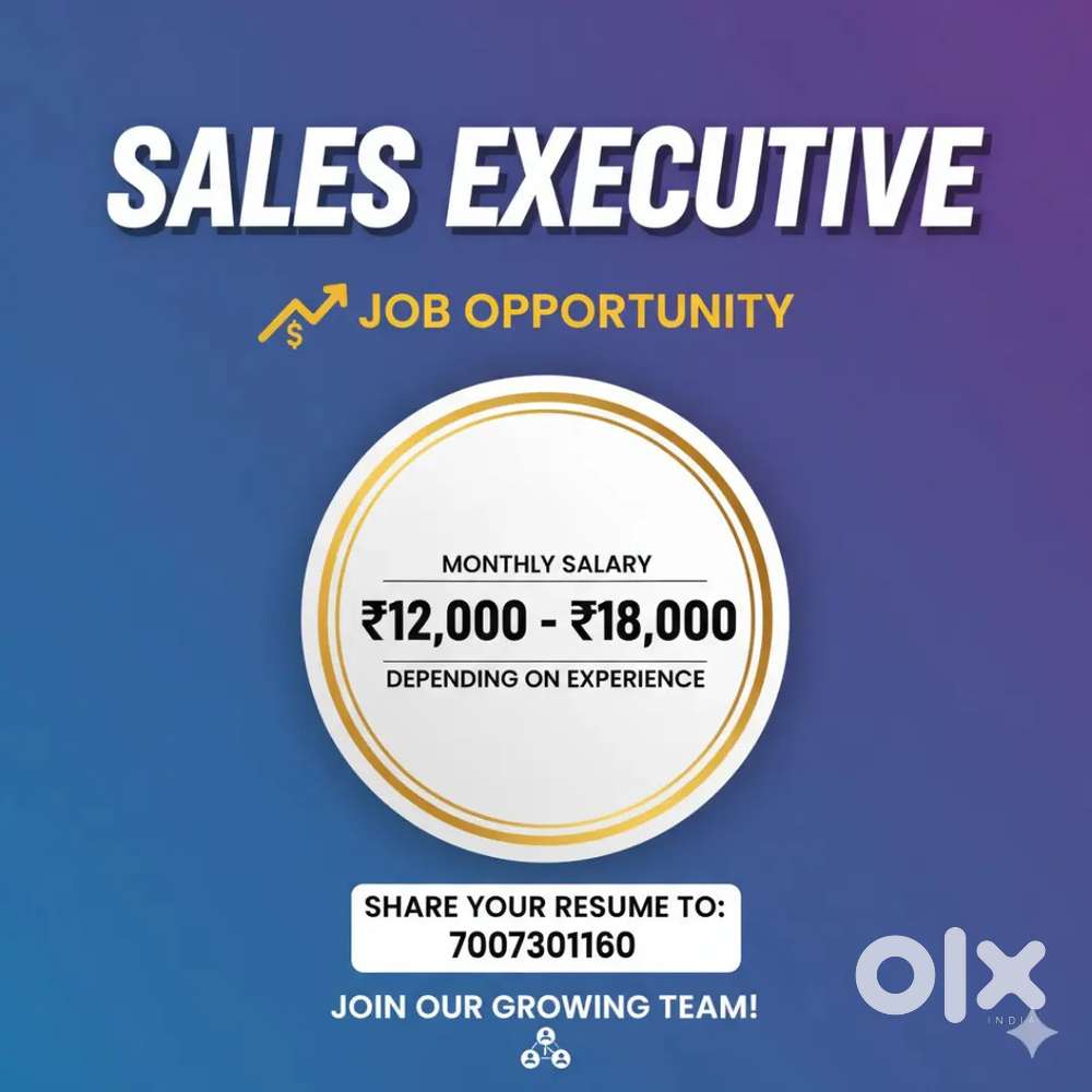 Sales Executive