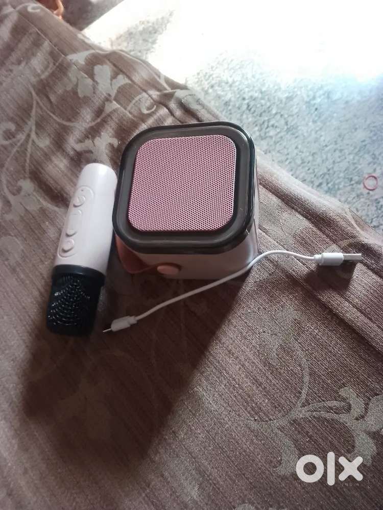 Speaker with mic toy